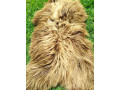 heidschnucke-premium-sheepskins-small-3