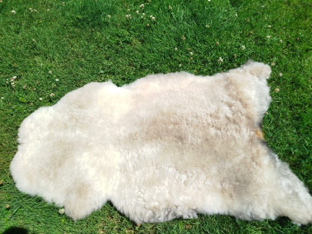premium-swedish-sheepskins-big-0
