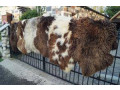 premium-dutch-sheepskins-small-1