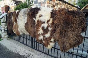 premium-dutch-sheepskins-big-1