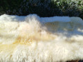 exclusive-patchwork-sheepskin-rugs-small-1