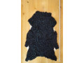 luxurious-sheepskins-gotland-with-beautiful-curls-small-1