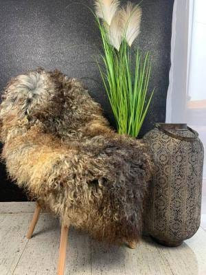 luxurious-sheepskins-gotland-with-beautiful-curls-big-3
