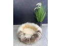 cat-beds-50cm-70cm-natural-sheepskin-premium-small-4