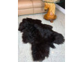 polish-sheepskins-highest-quality-small-1