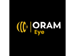 Surveillance Camera Monitoring Service