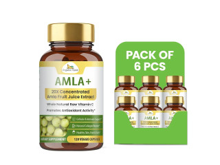 Wholesale Amla Supplement Supply in Bulk | Wholistic Zone