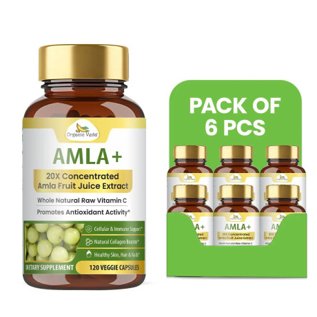wholesale-amla-supplement-supply-in-bulk-wholistic-zone-big-0