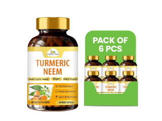 Order a Turmeric Supplement in Bulk from Wholistic Zone