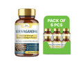 purchase-ashwagandha-capsules-in-bulk-wholistic-zone-small-0
