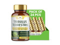 tribulus-supplement-for-bulk-quantity-buyers-wholistic-zone-small-0