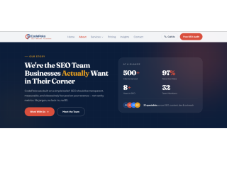 Professional SEO Services for Better Google Rankings