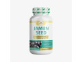 buy-jamun-seed-capsules-from-organic-veda-small-0