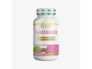 Traditional Shatavari Capsules for Daily Wellness | Organicveda