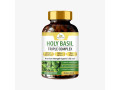organicveda-holy-basil-capsules-with-two-tulsi-varieties-small-0