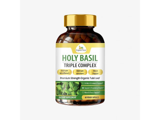 Organicveda Holy Basil Capsules with Two Tulsi Varieties