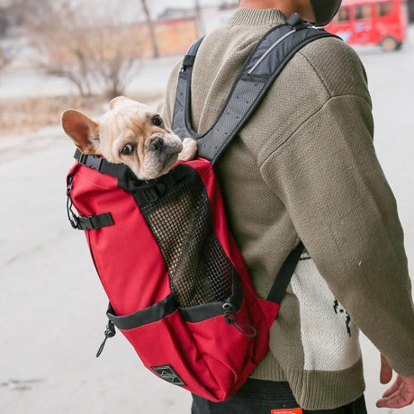pet-dog-carrier-bag-carrier-for-dogs-backpack-out-double-shoulder-portable-travel-backpack-outdoor-dog-carrier-bag-travel-big-0