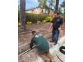 give-your-landscape-better-watering-and-lasting-greenery-small-0