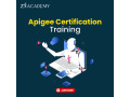 apigee-online-training-google-apigee-api-management-certification-course-zx-academy-small-0