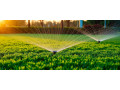 elevate-orlando-business-spaces-with-beautiful-outdoor-design-small-2