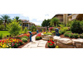 elevate-orlando-business-spaces-with-beautiful-outdoor-design-small-3