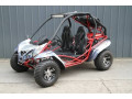 200-cc-2-seater-go-kart-small-1