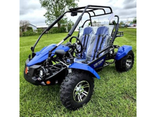 200 cc 2 seater go kart
