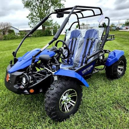 200-cc-2-seater-go-kart-big-0