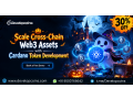 scale-cross-chain-web3-assets-with-cardano-token-development-save-30-small-0