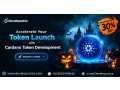 accelerate-your-token-launch-with-cardano-token-development-small-0