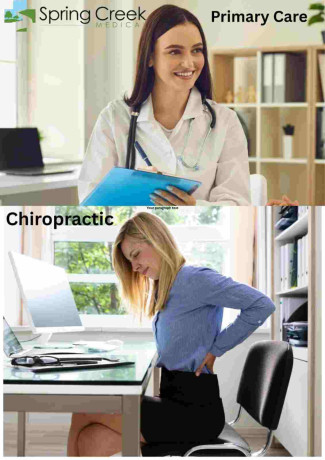 primary-care-chiropractor-in-richardson-spring-creek-big-0