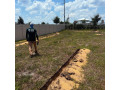 bring-better-water-coverage-to-kissimmee-lawns-and-gardens-small-1