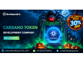 elevate-your-tokenization-strategy-with-cardano-token-development-small-0